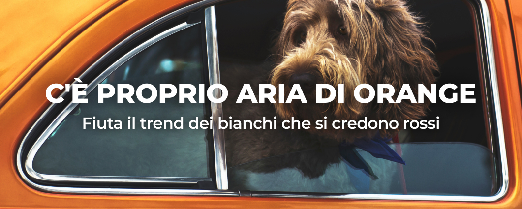 C'� PROPRIO ARIA DI ORANGE
