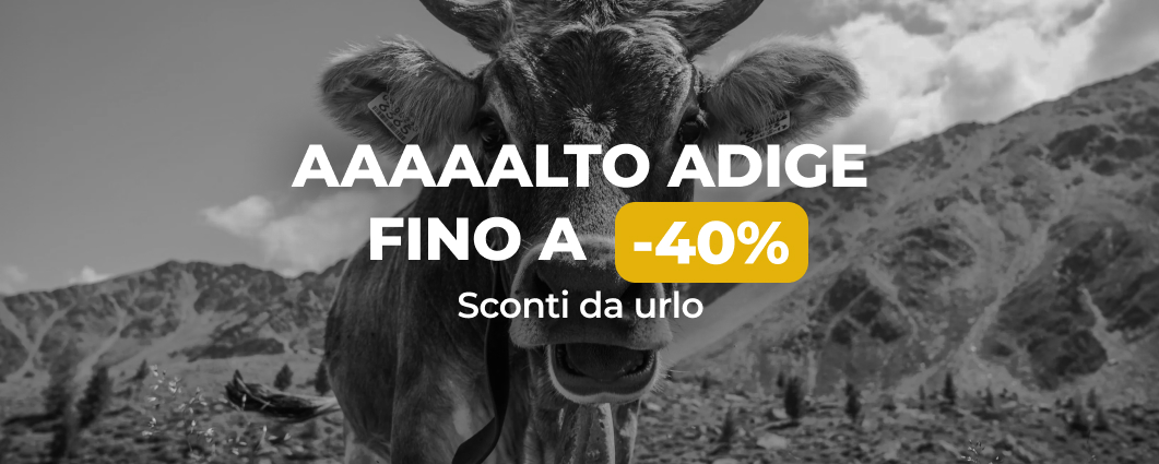 AAAAALTO ADIGE FINO A -40%