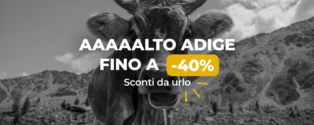 AAAAALTO ADIGE FINO A -40%
