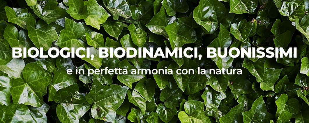 Biologoco, biodinamici, Buonissimi