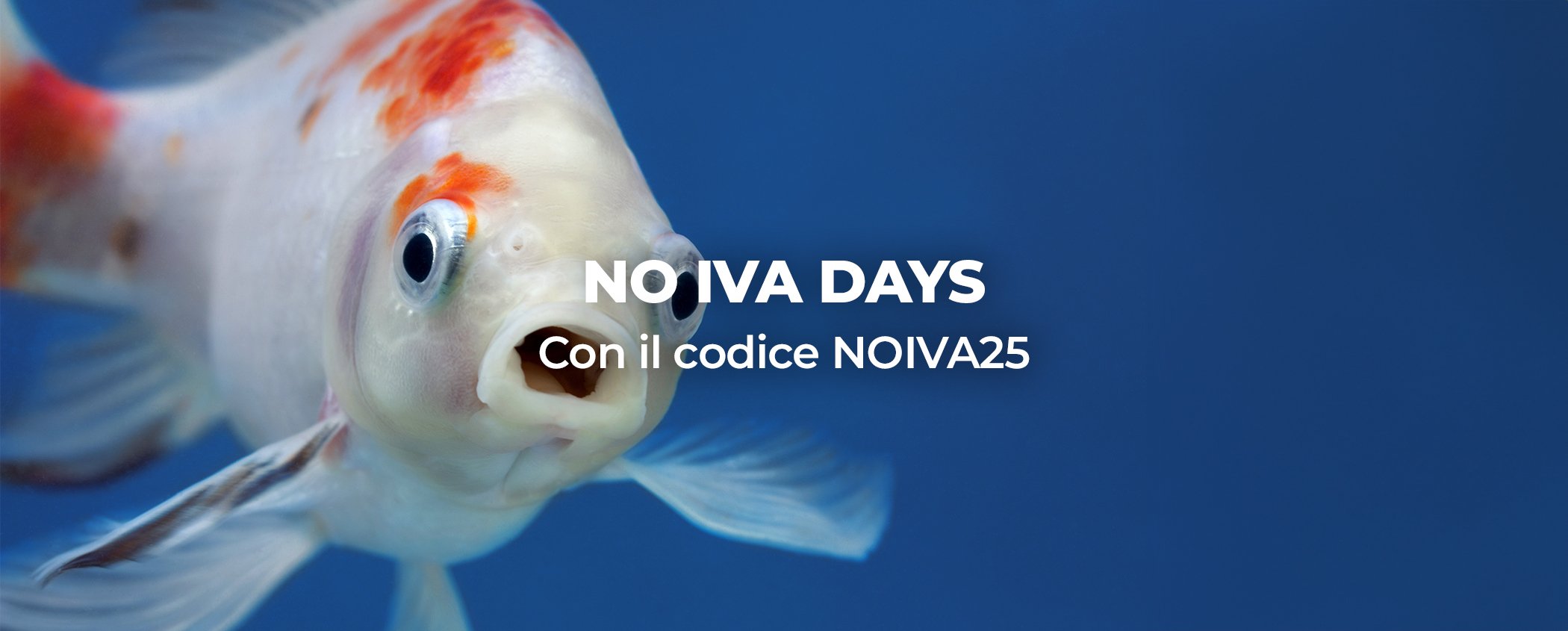 promo-no-iva