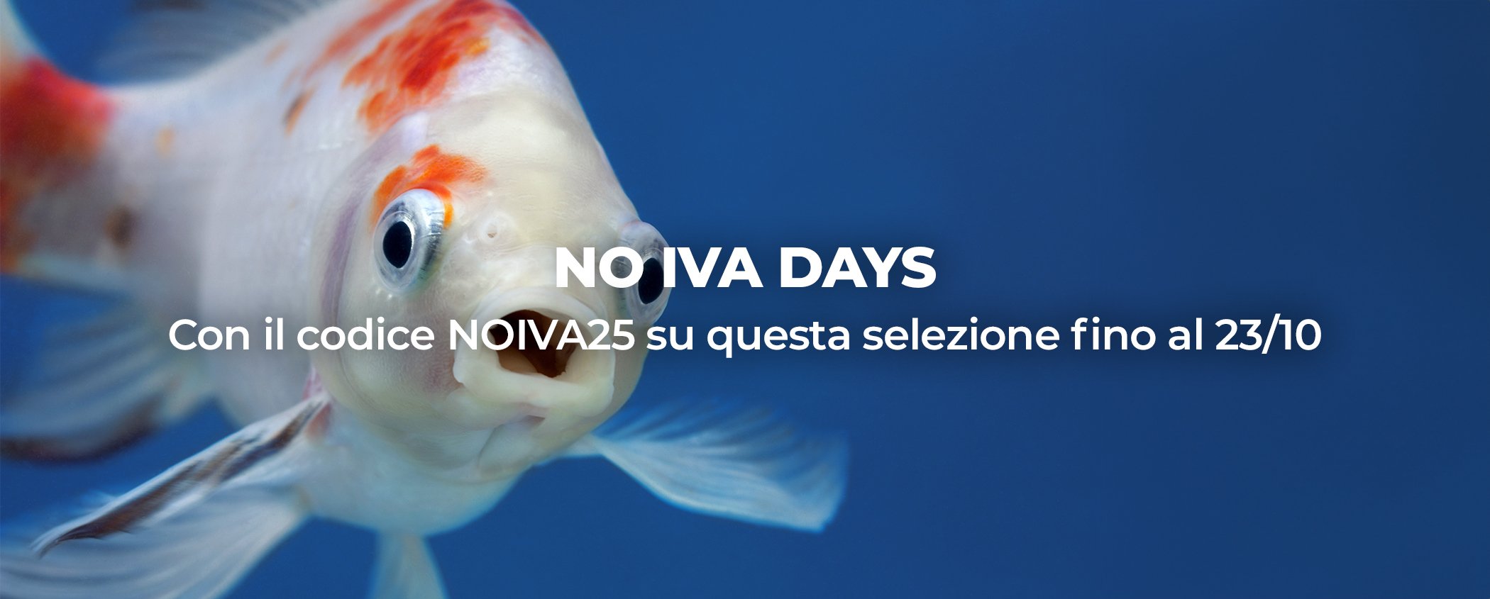 promo-no-iva