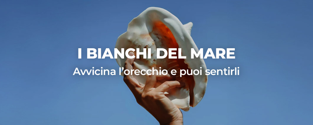 bianchi