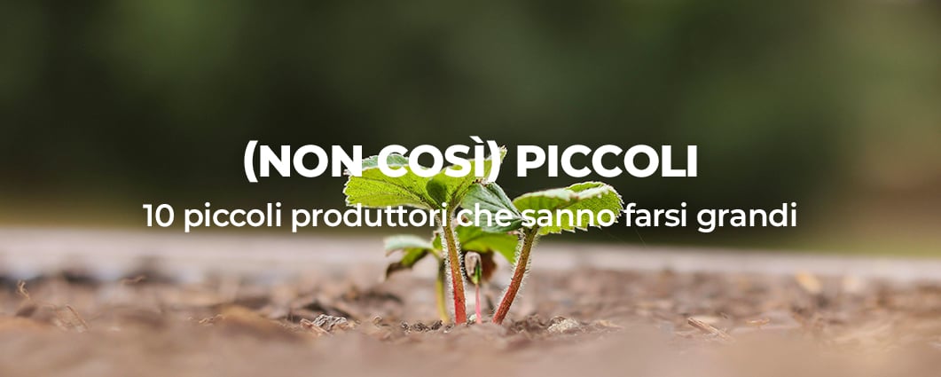 piccoli-produttori