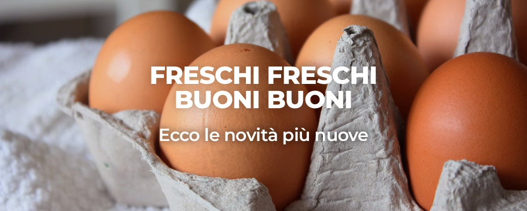 novita