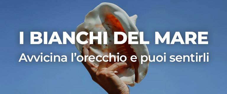 bianchi