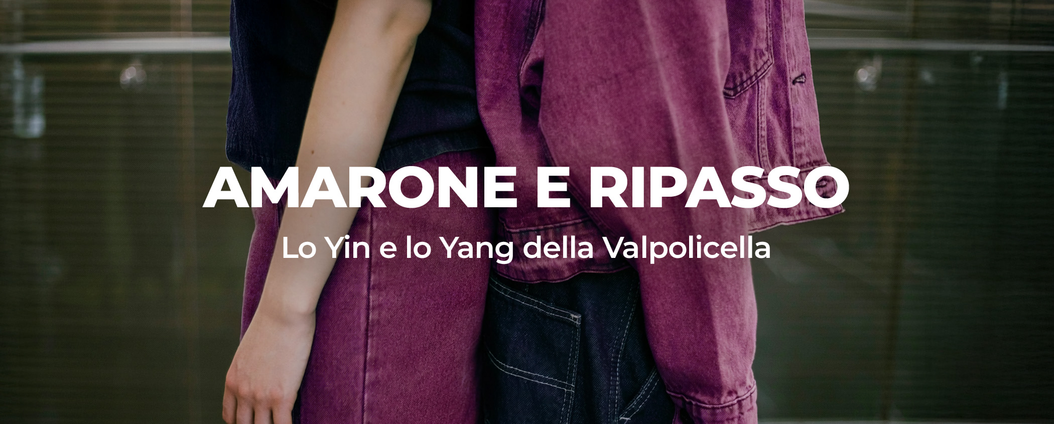 ASSAPORA L�EQUILIBRIO PERFETTO