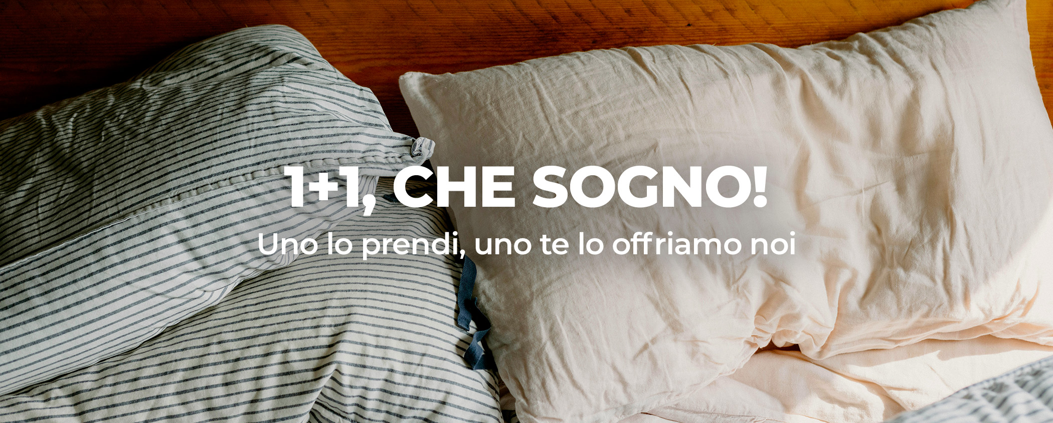 Scopri 1+1: CHE SOGNO!