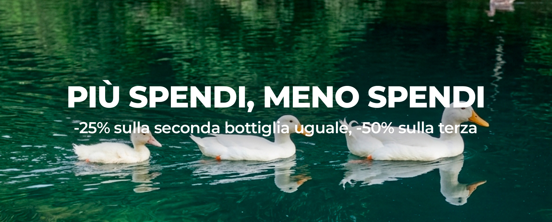 Scopri PI� SPENDI, MENO SPENDI