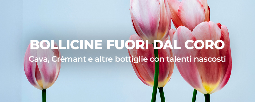 Scopri BOLLICINE FUORI DAL CORO
