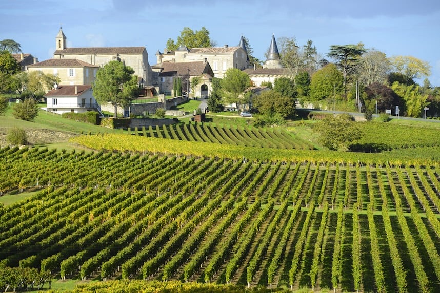 bordeaux bianco terroir