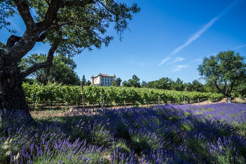 dove si producono i vini rosati francesi provenza