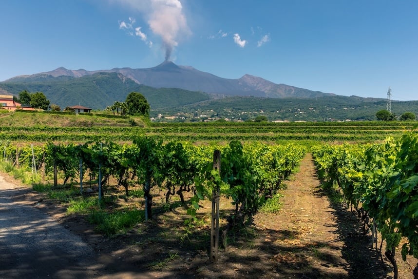 etna bianco caratteristiche terroir