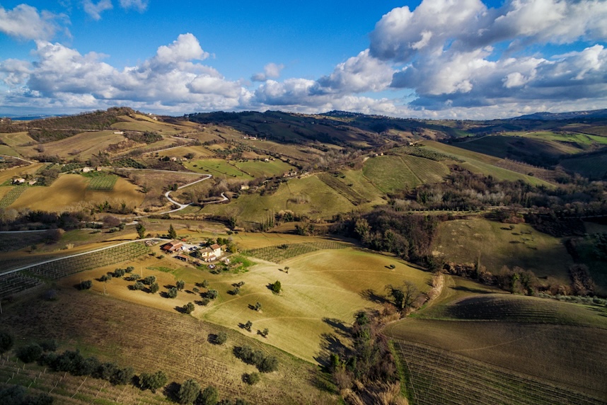marche zone di produzione dei vini