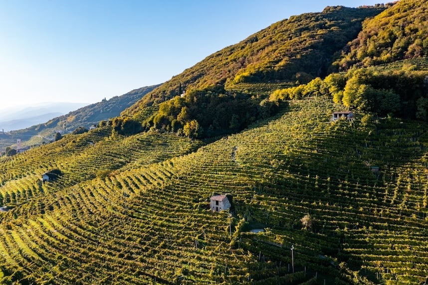 prosecco docg valdobbiadone dove viene prodotto