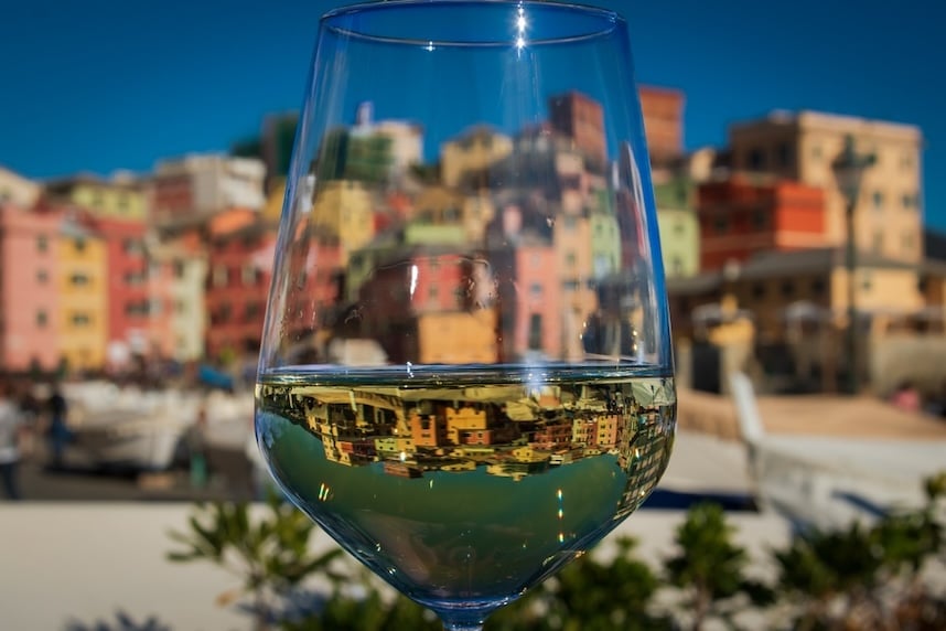quali sono i migliori vini bianchi liguri vermentino