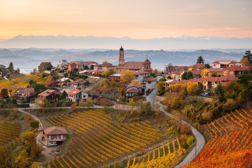 vigneti nelle langhe