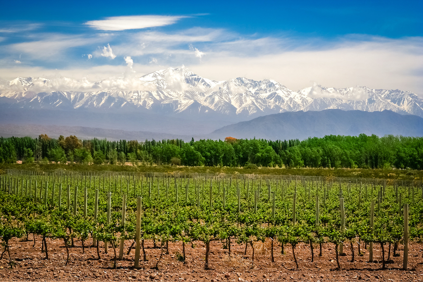 zone di produzione del vino in argentina