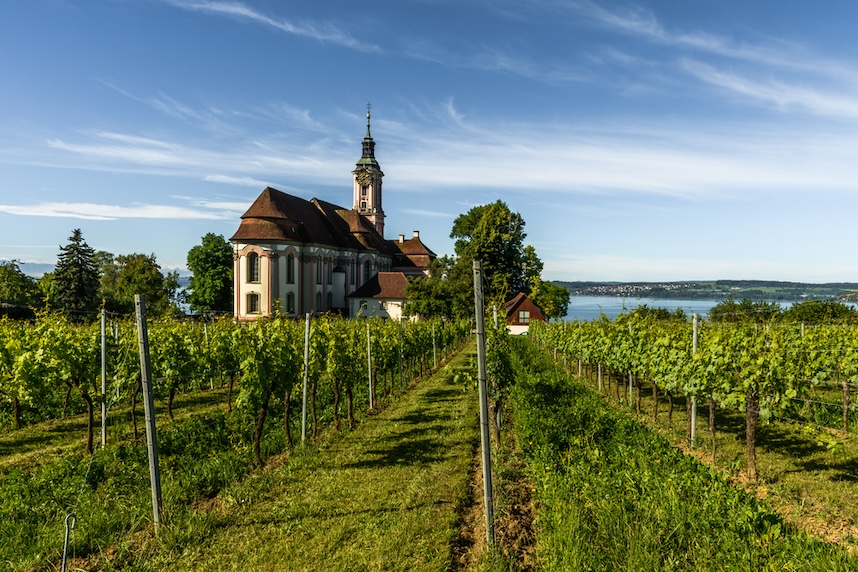 zone di produzione del vino in germania